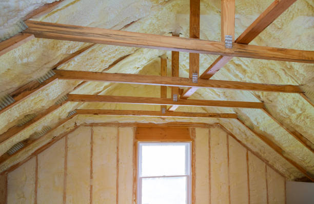 Best Insulation Contractors for Homes  in Estero, FL