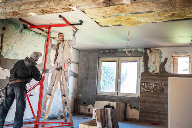 Best Local Insulation Services  in Estero, FL