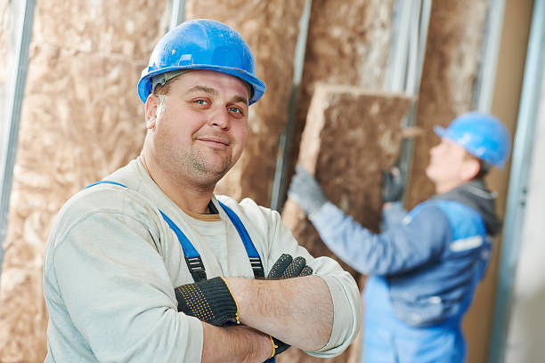 Best Insulation Replacement Services  in Estero, FL