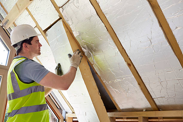 Best Energy-efficient Insulation  in Estero, FL